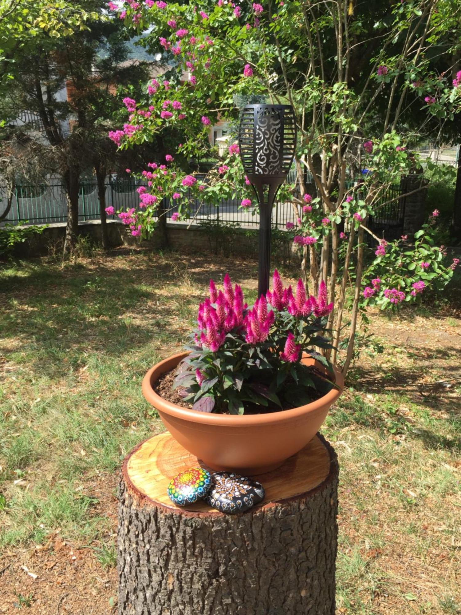 ilgiardinoincantato Grizzana Dış mekan fotoğraf